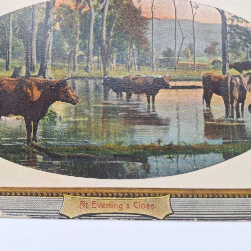 Vintage National Series Postcard At Evenings Close Pastoral Cows Water Scene Old